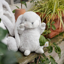 Tiny Nibble Bunny - 8"- Gray