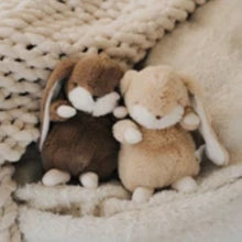 Tiny Nibble Bunny- 8"- Gingersnap