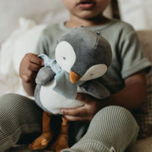 Snowcone the Penguin