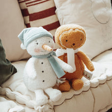 Ginger the Gingerbread Man
