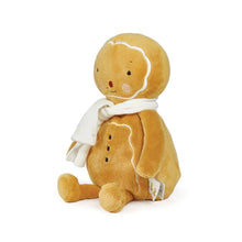 Ginger the Gingerbread Man