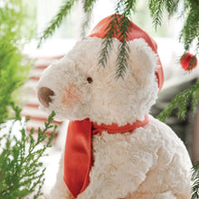 Beau the Polar Bear