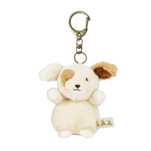 Skipit Keychain