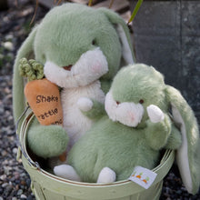 Sweet Nibble Bunny - 16" - pistachio