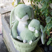Tiny Nibble Bunny - 8" - pistachio