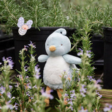 Tweet the Blue Bird Roly Poly