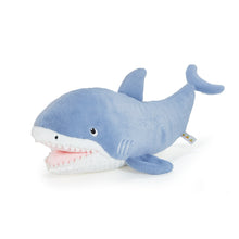 Axel The Shark