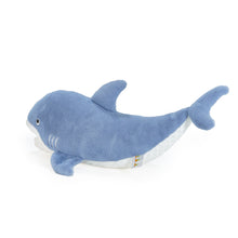 Axel The Shark