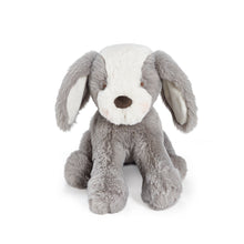 Little Floppy Mutt Steel