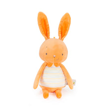 Jelly Bun- Orange Marmalade Jelly