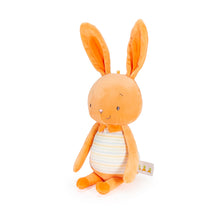 Jelly Bun- Orange Marmalade Jelly