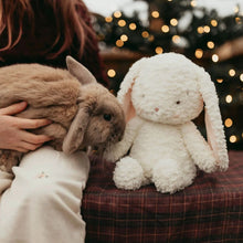 Snowball the Bunny