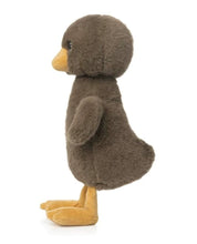 Ugly Duckling