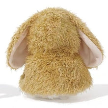 Wee Kiddo Bunny Cape Brown