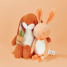 Jelly Bun- Orange Marmalade Jelly