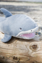 Axel The Shark