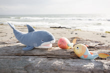 Axel The Shark