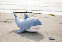 Axel The Shark