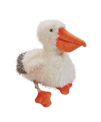 Pelly
