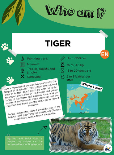 Giveaway - Part 2 - Tiger